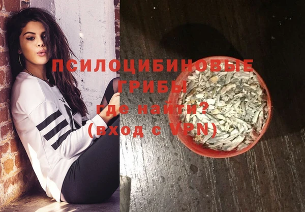 прущие грибы Баксан