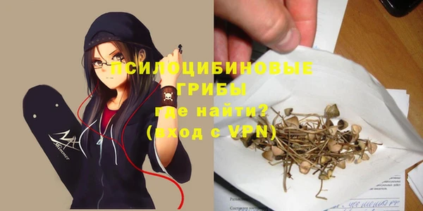 хмурый Балабаново