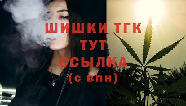 прущие грибы Баксан
