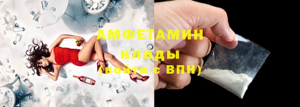 прущие грибы Баксан