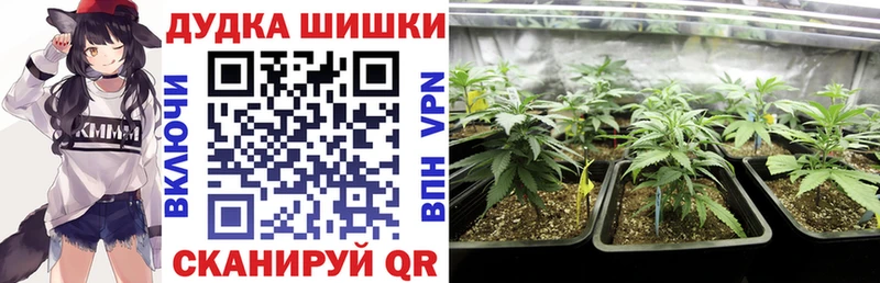 Шишки марихуана Ganja  Ухта 